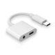 2-in-1  C  Type  Adapter Usb C 3.5mm Jack Earphone Audio Cable For Galaxy S21 S20 Fe Note 20 Ultra Note 10 Plus type*C+3.5MM interface